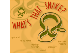 What's That Snake? image